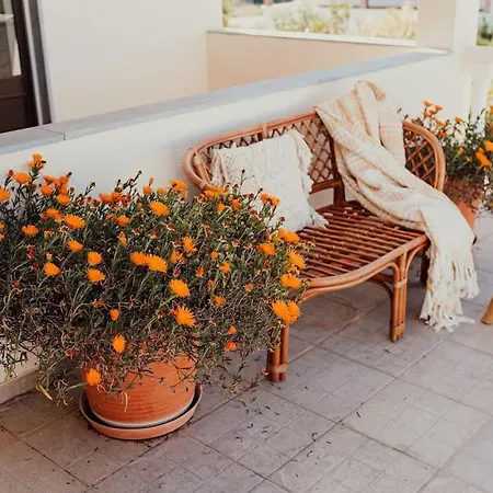 Casa Manjerico Λουλέ