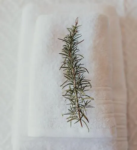 아파트 Casa Manjerico *