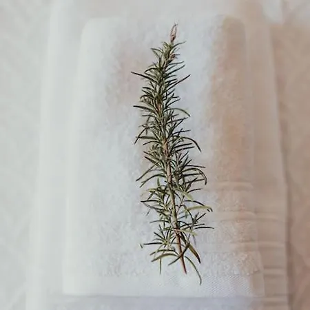 Apartamento Casa Manjerico *